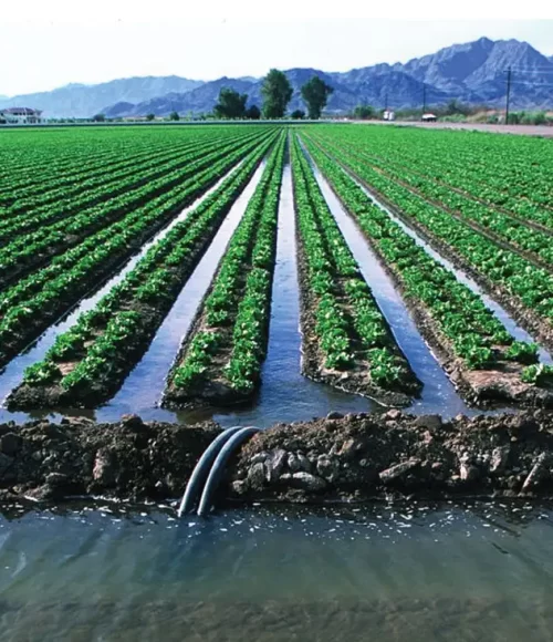 Aquafiers : How managed recharge brings groundwater back to life