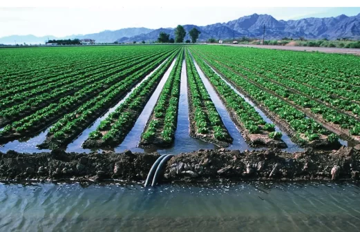 Aquafiers : How managed recharge brings groundwater back to life